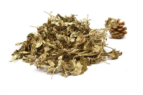 艾草熏房間要多長(zhǎng)時(shí)間 艾草熏房間后需要通風(fēng)多久 艾草熏房間要多長(zhǎng)時(shí)間 艾草熏房間后需要通風(fēng)多久