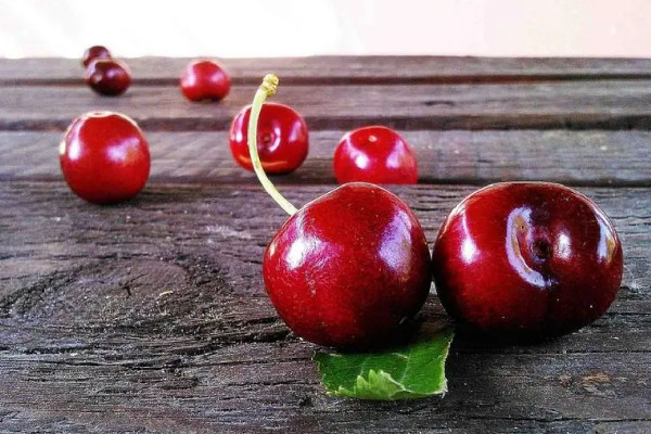 車?yán)遄雍蜋烟沂且粋€(gè)品種嗎 車?yán)遄雍蜋烟夷姆N貴