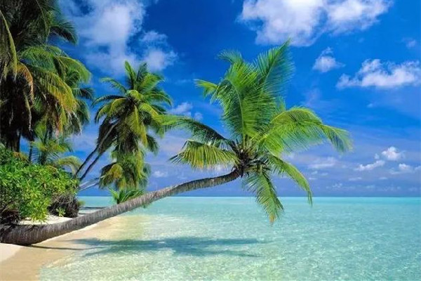 三亞民宿老板稱(chēng)一個(gè)月賺回三年虧損 三亞去哪里玩比較好