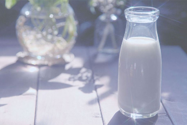 全脂牛奶可以做酸奶嗎 全脂牛奶做成酸奶后脂肪含量還高嗎 全脂牛奶可以做酸奶嗎 全脂牛奶做成酸奶后脂肪含量還高嗎