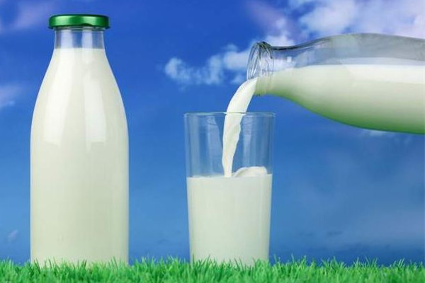 全脂牛奶可以做酸奶嗎 全脂牛奶做成酸奶后脂肪含量還高嗎 全脂牛奶可以做酸奶嗎 全脂牛奶做成酸奶后脂肪含量還高嗎