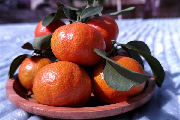 砂糖橘吃幾個比較好 砂糖橘不能和什么東西一起吃 砂糖橘吃幾個比較好 砂糖橘不能和什么東西一起吃