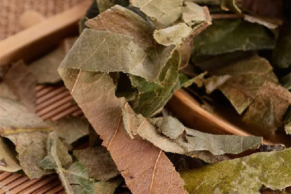 枇杷葉可以煮幾次水 枇杷葉放幾片煮水 枇杷葉可以煮幾次水 枇杷葉放幾片煮水