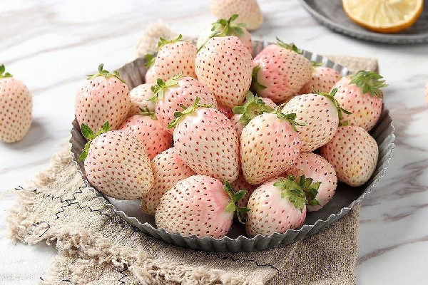 白草莓是轉(zhuǎn)基因水果嗎 白草莓產(chǎn)量怎么樣 白草莓是轉(zhuǎn)基因水果嗎 白草莓產(chǎn)量怎么樣