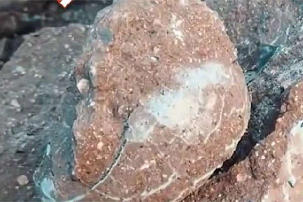 男子散步時意外發(fā)現(xiàn)恐龍蛋化石 恐龍化石是怎么形成的 男子散步時意外發(fā)現(xiàn)恐龍蛋化石 恐龍化石是怎么形成的