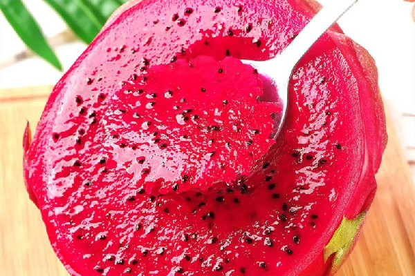 紅心火龍果怎么看壞沒(méi)壞 紅心火龍果可以放多久 紅心火龍果怎么看壞沒(méi)壞 紅心火龍果可以放多久