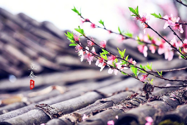 立春躲太歲需要多長時間 立春為什么要躲春