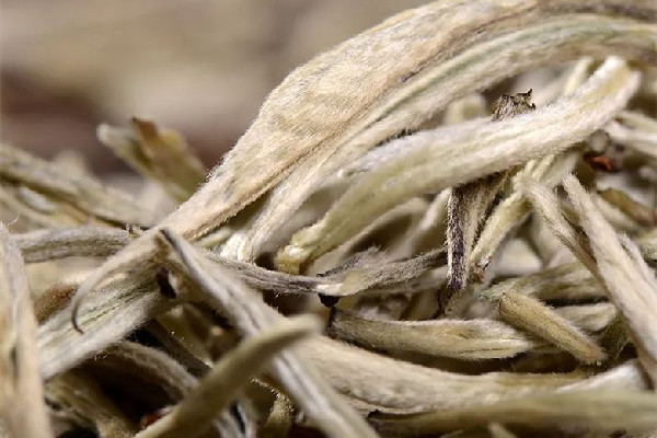 白毫銀針泡出來的顏色發(fā)紅正常嗎 白毫銀針泡多久出湯 白毫銀針泡出來的顏色發(fā)紅正常嗎 白毫銀針泡多久出湯