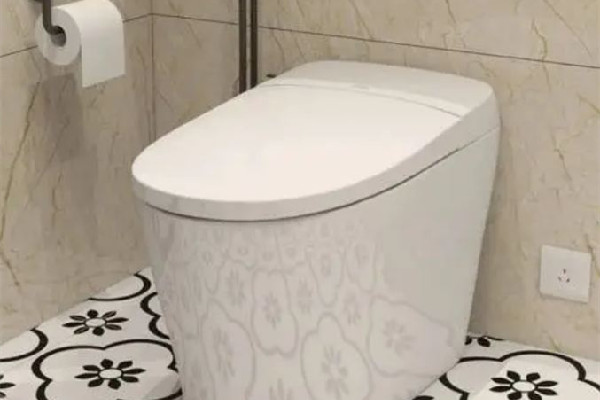 陜西遺址驚現(xiàn)2400年前沖水廁所 沖水馬桶的結(jié)構(gòu) 陜西遺址驚現(xiàn)2400年前沖水廁所 沖水馬桶的結(jié)構(gòu)