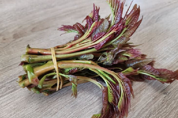 香椿要焯水吃嗎 香椿焯水多久 香椿要焯水吃嗎 香椿焯水多久