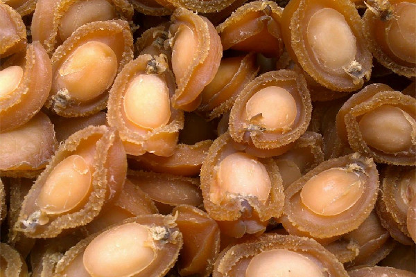 干鮑魚(yú)有什么營(yíng)養(yǎng)價(jià)值 干鮑魚(yú)對(duì)人體有什么好處