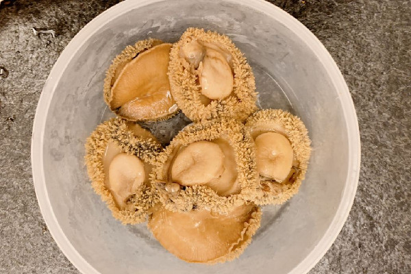 干鮑魚(yú)有沒(méi)有保質(zhì)期 干鮑魚(yú)可以存放多久 干鮑魚(yú)有沒(méi)有保質(zhì)期 干鮑魚(yú)可以存放多久