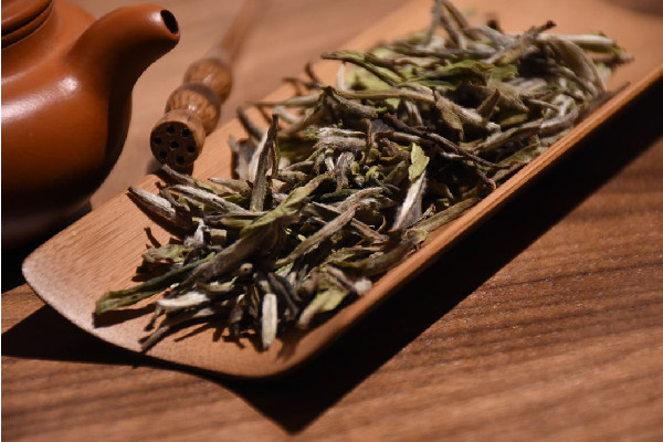 白牡丹茶可以煮著喝嗎 白牡丹茶煮好還是泡好 白牡丹茶可以煮著喝嗎 白牡丹茶煮好還是泡好