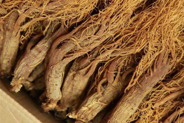 紅參買什么樣的好 紅參怎么辨別真假 紅參買什么樣的好 紅參怎么辨別真假