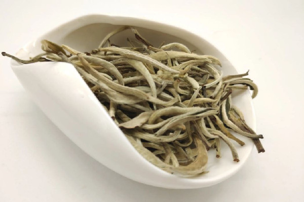 老白茶的等級怎么分 老白茶買茶餅還是散茶 老白茶的等級怎么分 老白茶買茶餅還是散茶