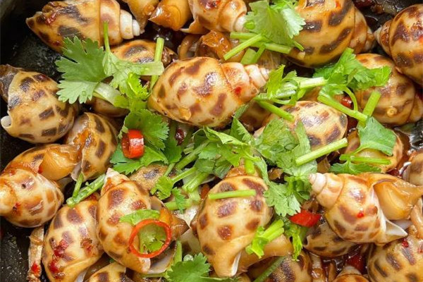 花螺多少錢一斤市場價(jià)2023 花螺是什么季節(jié)吃的