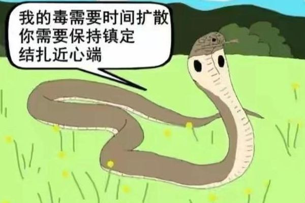 女子住酒店被毒蛇咬傷酒店拒擔全責 毒蛇一般在什么地方 女子住酒店被毒蛇咬傷酒店拒擔全責 毒蛇一般在什么地方