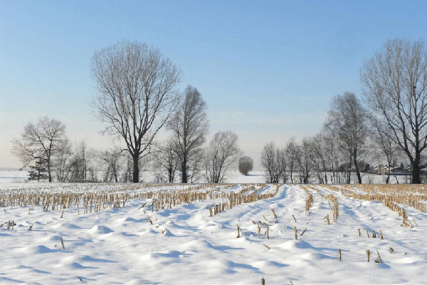 今年以來(lái)最大范圍雨雪來(lái)襲 雨雪天氣會(huì)影響飛機(jī)起飛嗎