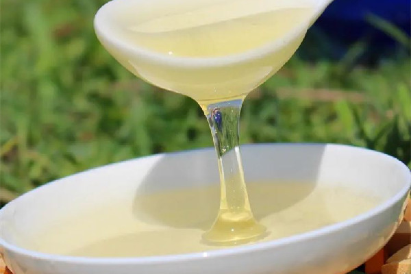 槐花蜜口感怎么樣 槐花蜜吃了養(yǎng)胃嗎 槐花蜜口感怎么樣 槐花蜜吃了養(yǎng)胃嗎