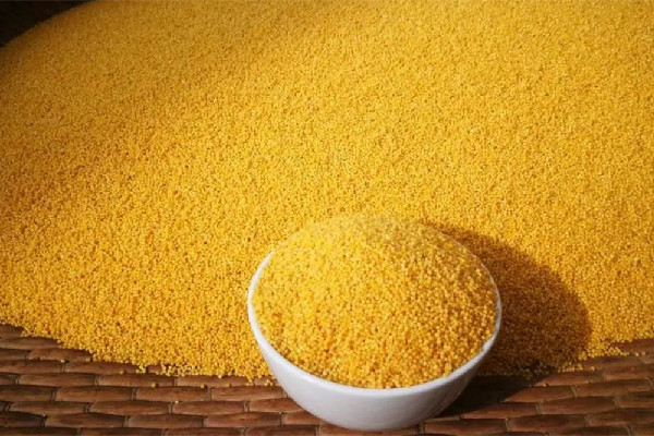 小米和大米哪個(gè)有營(yíng)養(yǎng) 小米和大米哪個(gè)升糖指數(shù)高