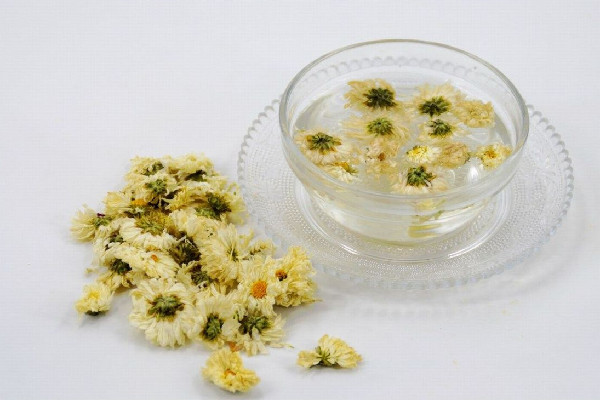 菊花茶對(duì)牙齦腫痛有好處嗎 菊花茶喝多久能見(jiàn)效 菊花茶對(duì)牙齦腫痛有好處嗎 菊花茶喝多久能見(jiàn)效