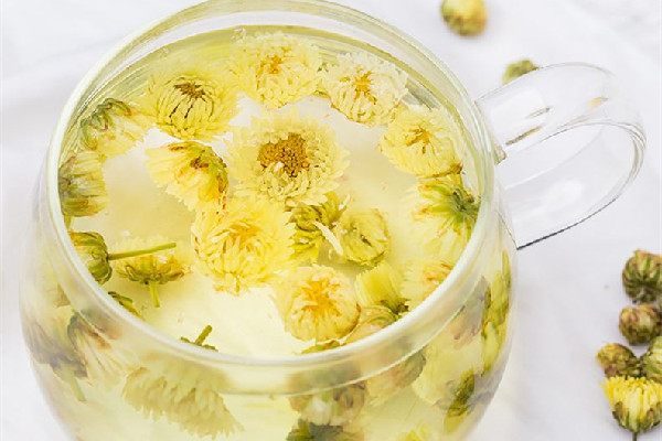 菊花茶哪種菊花好 菊花茶是胎菊好還是大菊花好