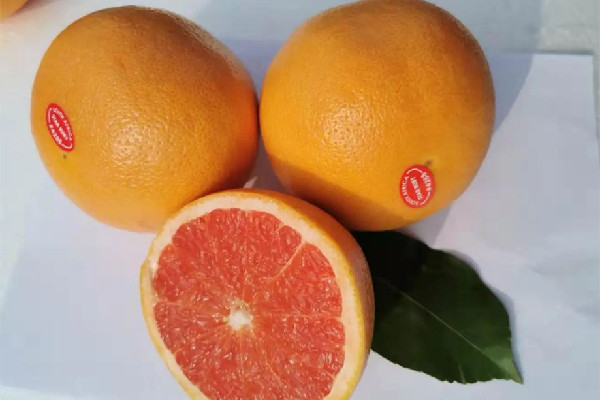 葡萄柚會影響藥效嗎 葡萄柚和什么藥不能一起吃