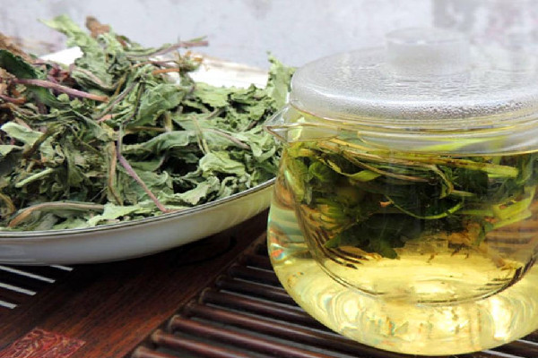 蒲公英茶用多少度的水泡 蒲公英茶怎么喝 蒲公英茶用多少度的水泡 蒲公英茶怎么喝