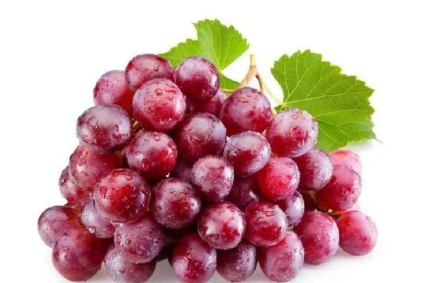 葡萄會(huì)引起咳嗽嗎 葡萄對眼睛的好處