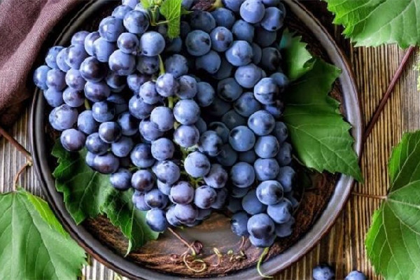 葡萄和提子是同一品種嗎 葡萄和提子哪個(gè)營(yíng)養(yǎng)價(jià)值高 葡萄和提子是同一品種嗎 葡萄和提子哪個(gè)營(yíng)養(yǎng)價(jià)值高