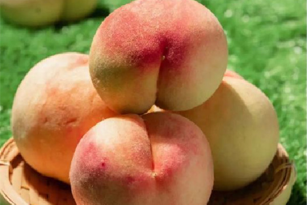 水蜜桃是幾月份的水果 水蜜桃什么品種好吃 水蜜桃是幾月份的水果 水蜜桃什么品種好吃