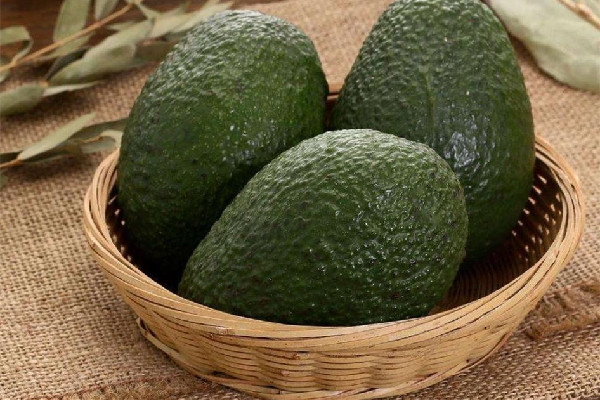 牛油果好吃嗎 牛油果的營養(yǎng)成分 牛油果好吃嗎 牛油果的營養(yǎng)成分