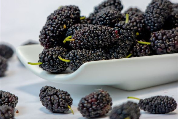 桑葚可以放冰箱保鮮嗎 桑葚放一晚上還能吃嗎 桑葚可以放冰箱保鮮嗎 桑葚放一晚上還能吃嗎