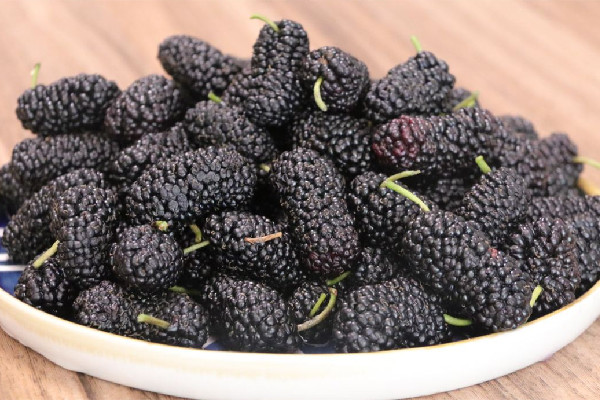 桑葚什么時(shí)候上市 桑葚吃多了會上火嗎