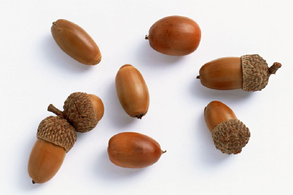 堅果可以每天吃嗎 堅果吃哪種好 堅果可以每天吃嗎 堅果吃哪種好